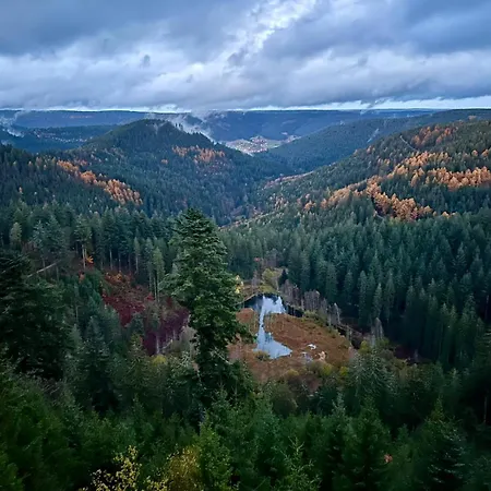 Tannenduft - Διαμέρισμα