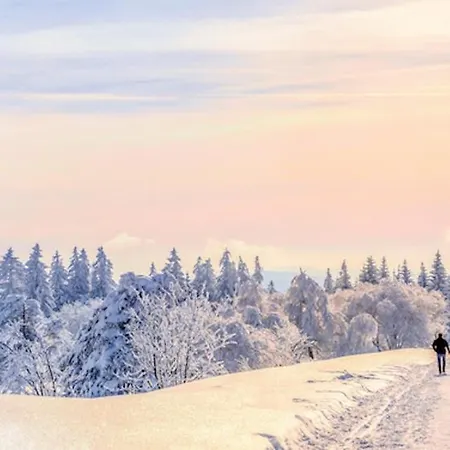 Tannenduft - * Φρόιντενσταντ