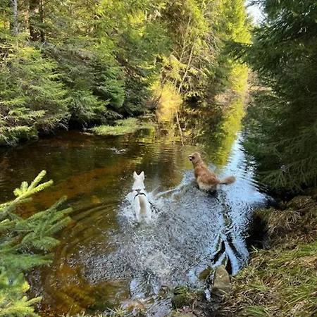Διαμέρισμα Tannenduft - Φρόιντενσταντ